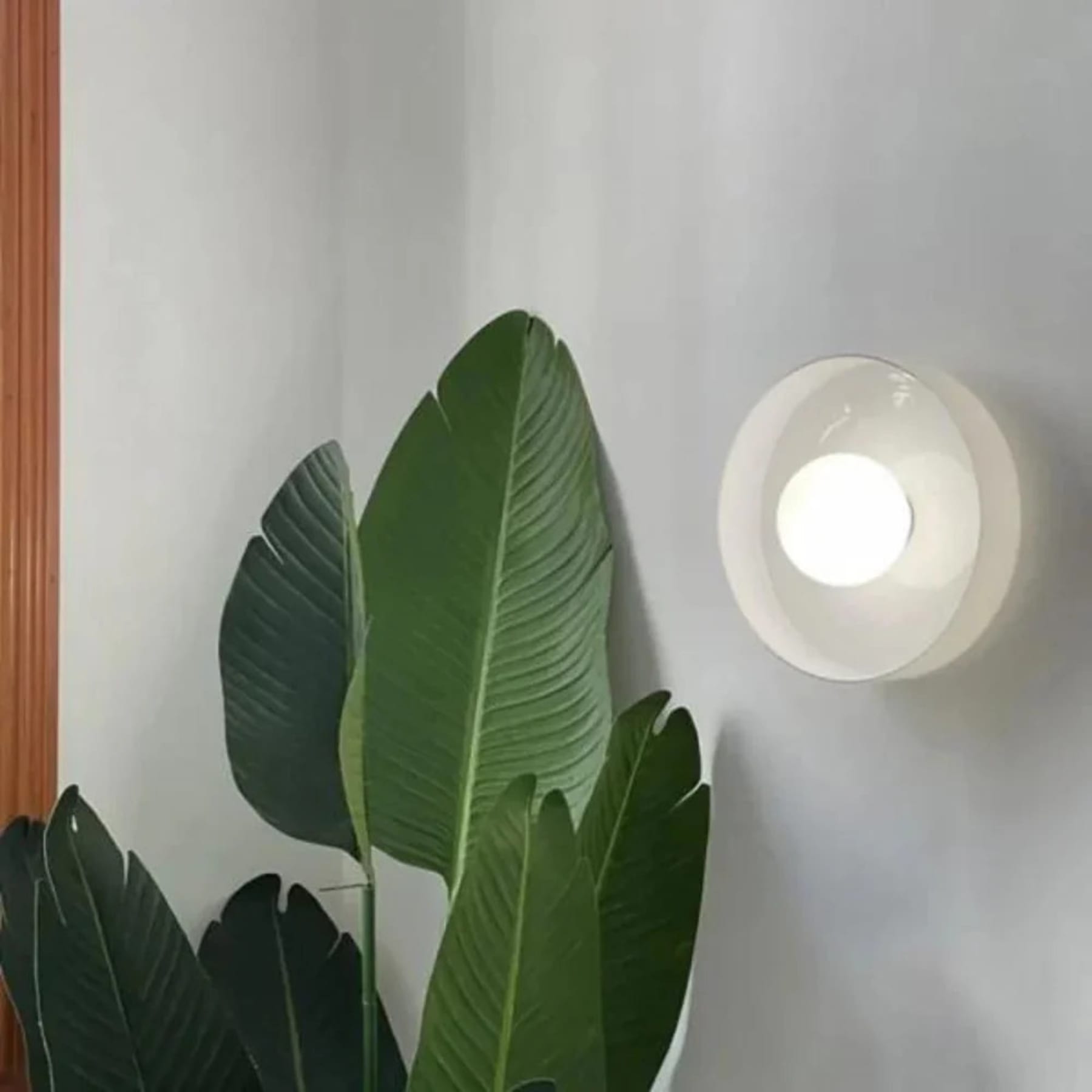 Contemporary Glass Bowl Ceiling Light for Living Room — Greenwich Home & Living