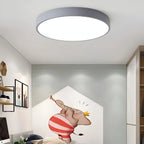 Minimalist Metal Flush Mount Ceiling Light With Tri-Color Dimming — Greenwich Home & Living