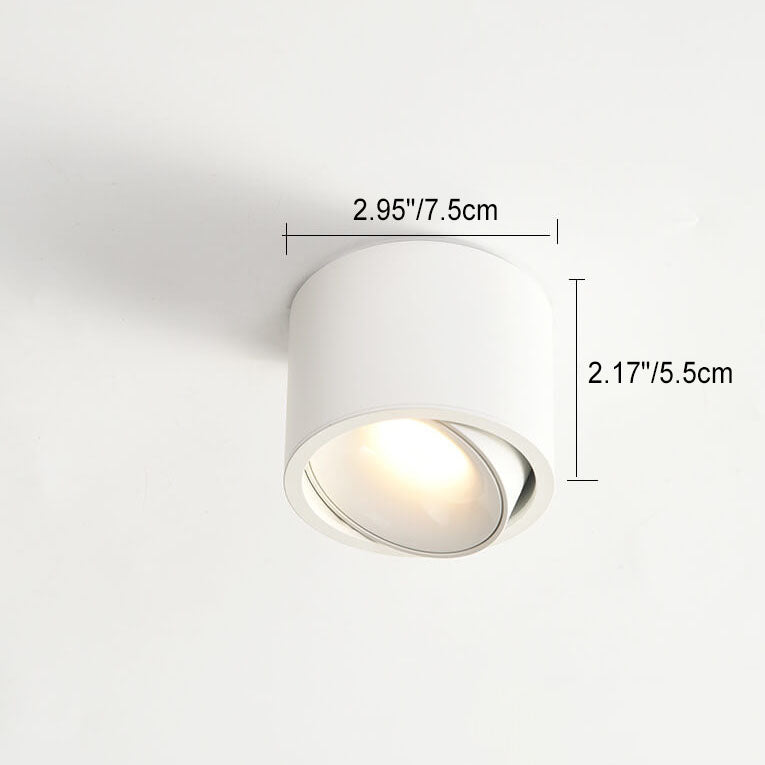 Modern Iron Flush Mount Ceiling Light With Integrated LED — Greenwich Home & Living