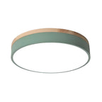 Minimalist Wood Flush Mount Ceiling Light With Remote Dimming in Green — Greenwich Home & Living