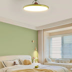 Retro Iron and Acrylic Semi-Flush Ceiling Light With Dimmable Color — Greenwich Home & Living