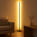 Minimalist Metal Floor Lamp With Stepless Dimming for Living Room in Black — Greenwich Home & Living
