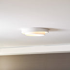 Minimalist Metal Flush Mount Ceiling Light With Bright Daylight LED — Greenwich Home & Living