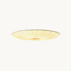 Modern Acrylic Flush Mount Ceiling Light With Warm LED Glow — Greenwich Home & Living