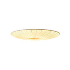 Modern Acrylic Flush Mount Ceiling Light With Warm LED Glow — Greenwich Home & Living