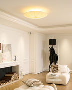 Modern Acrylic Flush Mount Ceiling Light With Warm LED Glow — Greenwich Home & Living