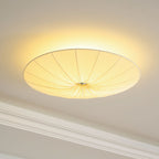 Modern Acrylic Flush Mount Ceiling Light With Warm LED Glow — Greenwich Home & Living