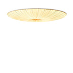 Modern Acrylic Flush Mount Ceiling Light With Warm LED Glow — Greenwich Home & Living