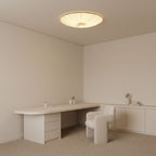 Modern Acrylic Flush Mount Ceiling Light With Warm LED Glow — Greenwich Home & Living