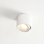 Modern Iron Flush Mount Ceiling Light With Integrated LED — Greenwich Home & Living