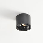 Modern Iron Flush Mount Ceiling Light With Integrated LED in Black — Greenwich Home & Living