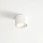 Modern Iron Flush Mount Ceiling Light With Integrated LED — Greenwich Home & Living