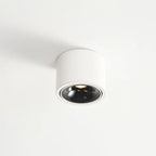 Modern Iron Flush Mount Ceiling Light With Integrated LED — Greenwich Home & Living