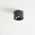 Modern Iron Flush Mount Ceiling Light With Integrated LED — Greenwich Home & Living