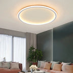 Modern Acrylic Flush Mount Ceiling Light for Living Room — Greenwich Home & Living