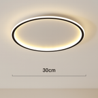 Modern Acrylic Flush Mount Ceiling Light for Living Room — Greenwich Home & Living