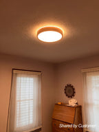 Modern Aluminum Flush Mount Ceiling Light With Remote Dimming — Greenwich Home & Living